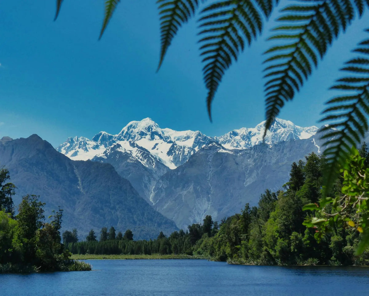 The High Cost of Biosecurity Ignorance in New Zealand