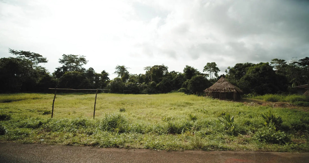 The Invisible Borders of Papua New Guinea