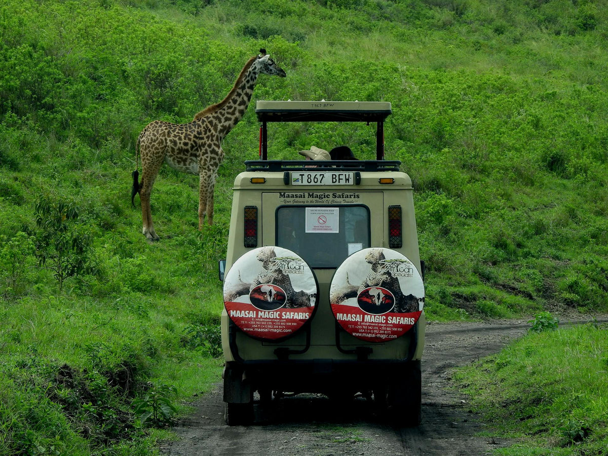 Tanzania – Safari Expectations vs Reality in the Serengeti